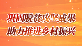 鞏固脫貧攻堅成果 助力推進鄉村振興